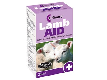 Lamb aid 